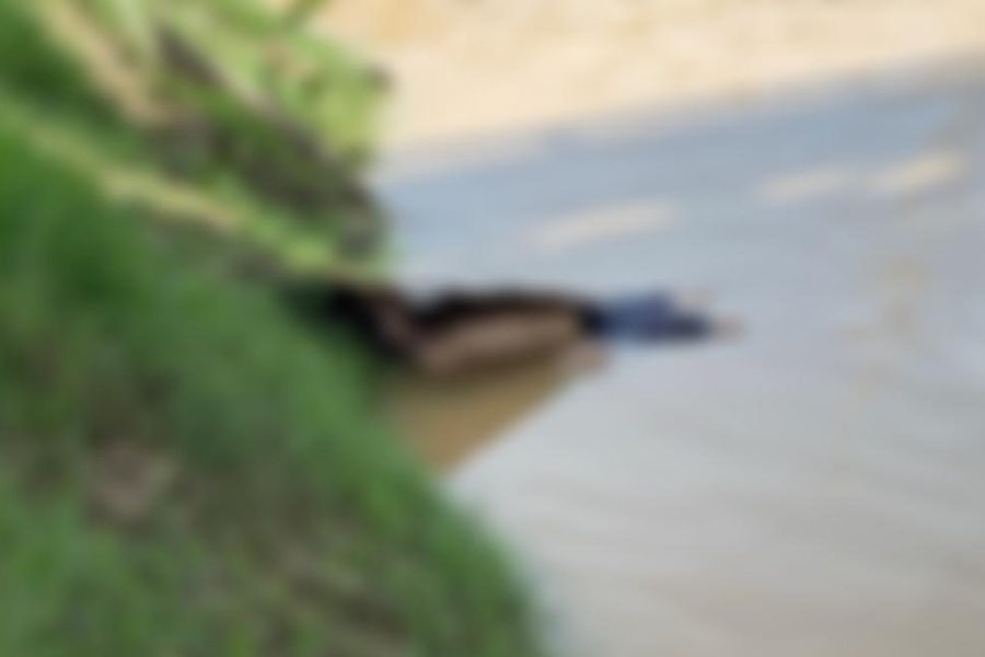 9333e1bb-6614-4cae-a438-60892fdd401a-1.jpg