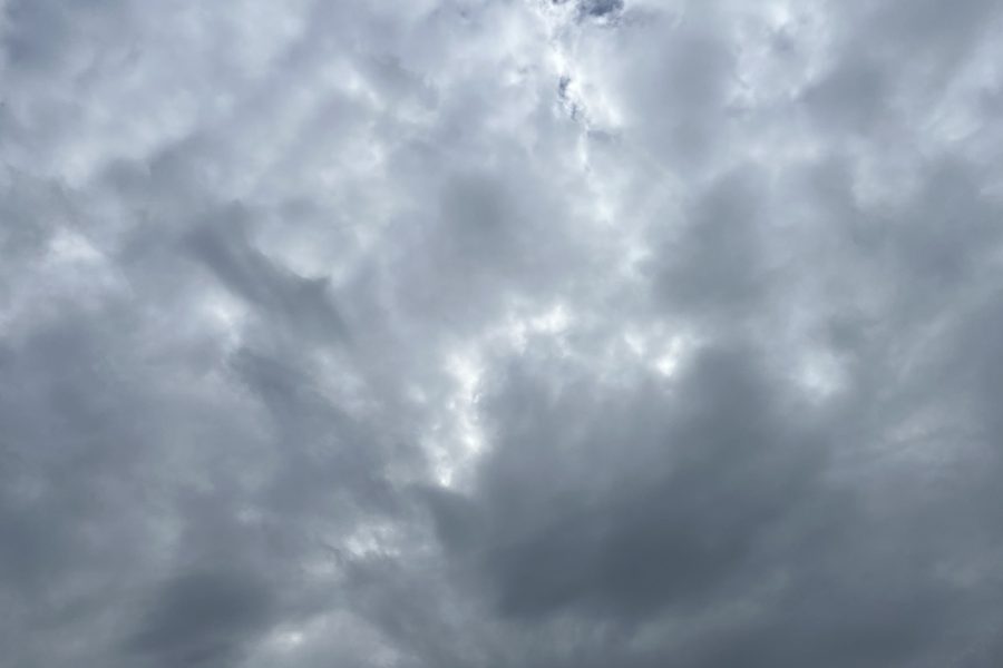 img_4016.jpg